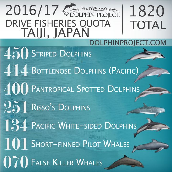 <p>2016/17 Drive Fisheries Quota, Taiji, Japan</p>