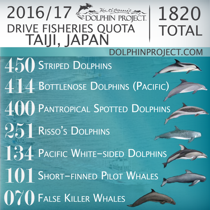 2016/17 Drive Fisheries Quota, Taiji, Japan