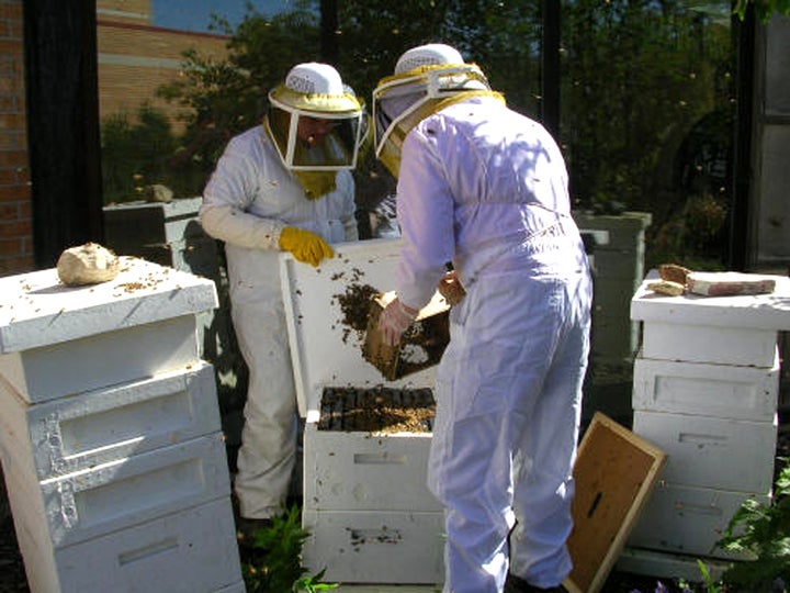 Chicago Agricultural High School Students Bee Hives. Honey used in Eli’s desserts.