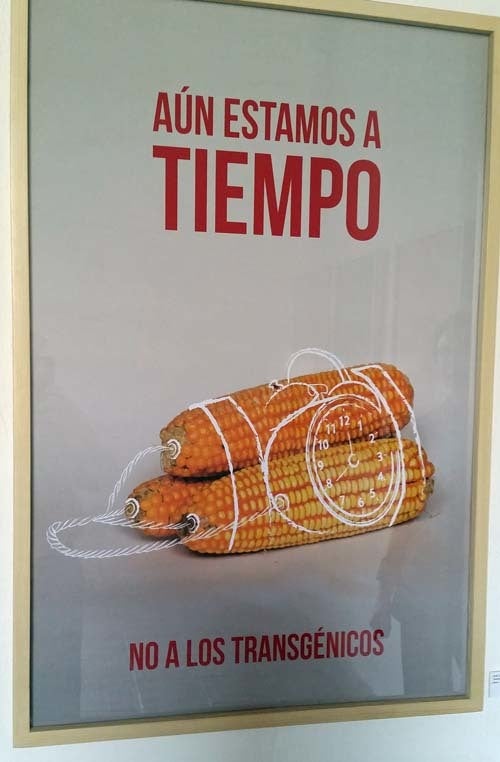 Corn Bomb Poster in IAGO’s carteles exhibition.