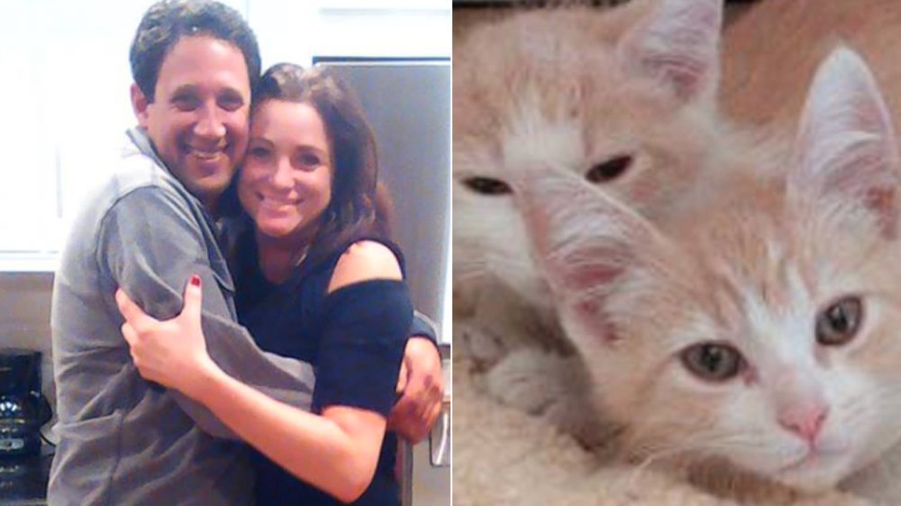 Cat Brothers Separated At Rescue Shelter Reunited After Owners Match On