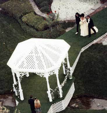 One of the many images that were taken from above by papparazzi as Michael Jackson & Michael Wilding Jr. led Elizabeth Taylor