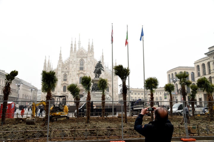 Newly planted palm trees are seen in Piazza Duomo on February 20 , 2017 in Milan, Italy. The American group Starbucks has decided to give a green area with palm trees in Piazza Duomo. The decision sparked much controversy and during the night of February 19, some protesters tried to burn three palm trees.