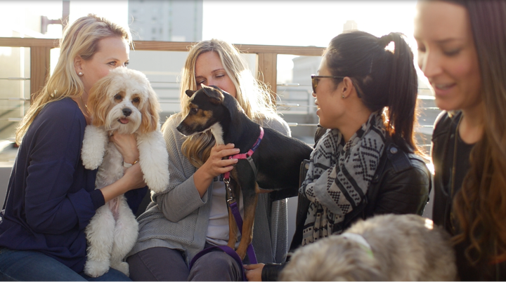 <p>Puppy Mama “Yappy Hour” in downtown San Francisco</p>