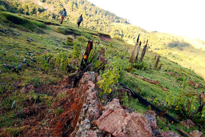 Charred remains of buildings are a common sight in Embobut Forest, the remnants of prolonged conflict between the local Sengwer community and government forestry officers.