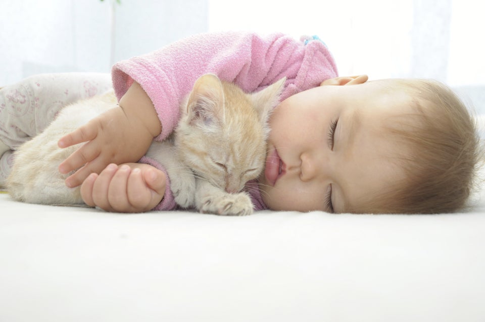 These Baby Pics Confirm Animals Are The Absolute Cutest Nap Buddies | HuffPost Life These Baby Pics Confirm Animals Are The Absolute Cutest Nap Buddies | HuffPost Life
