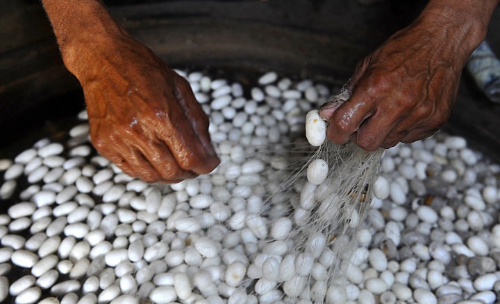 Silk being extracted from water