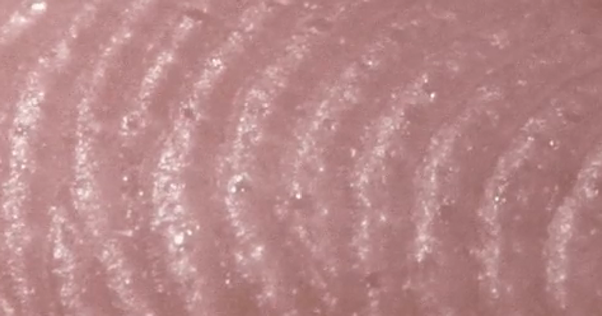 This Is What Sweating Looks Like Up Close | HuffPost UK Tech