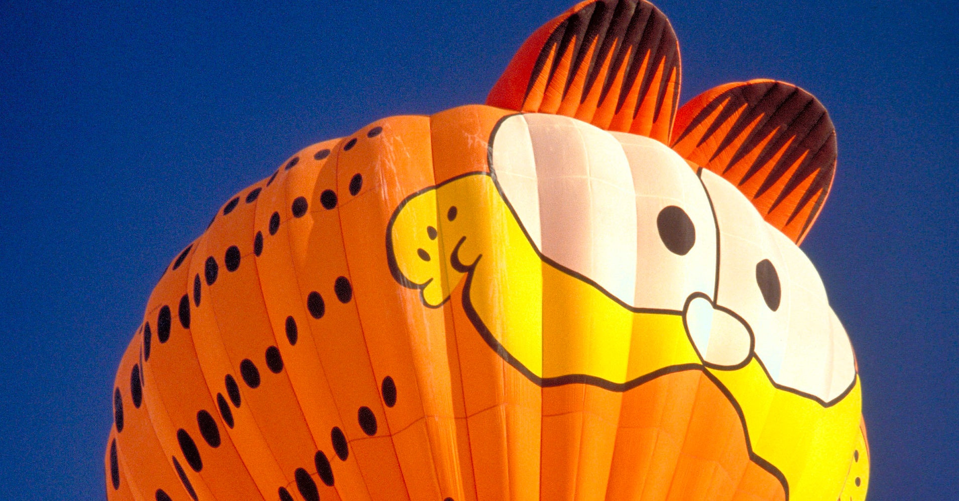 Garfield’s Gender Has Such A Heated Debate, Even Congress Is