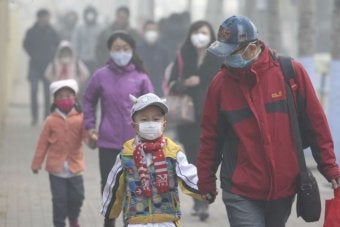 <p>World Health Organization says 90% of humans breathe dangerously contaminated air.</p>