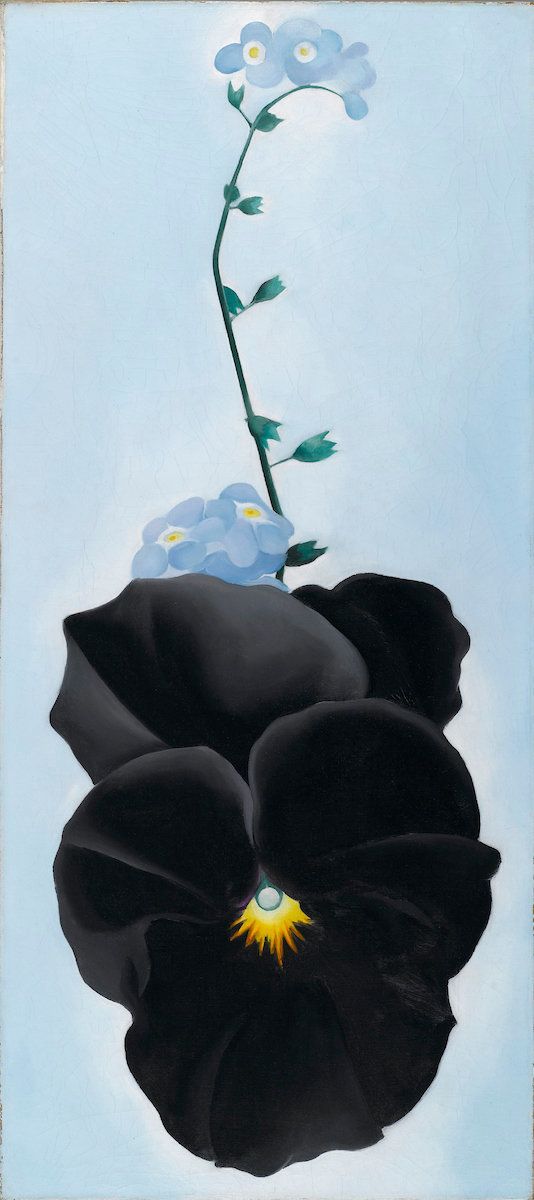 Georgia O’Keeffe, "Black Pansy & Forget-Me-Nots (Pansy)," 1926, oil on canvas, 27⅛ by 12¼ inches (68.9 by 31.1 centimeters).