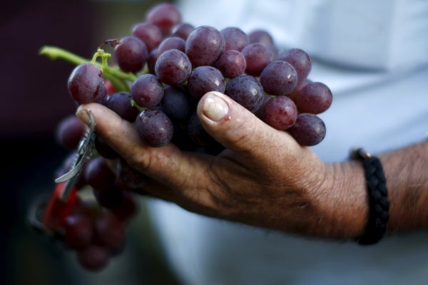 &ldquo;The cheapest and most effective way to enhance water availability and ensure environmental health is source protection