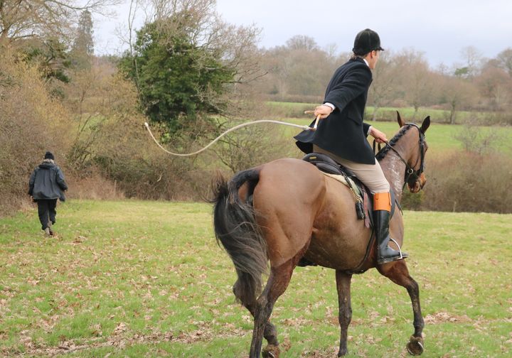 The 'whipper-in' assists the huntsman with the discipline and behaviour of hounds in the field
