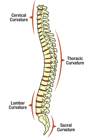 Everyday Ergonomics: 5 Tips You Should Know | HuffPost Contributor