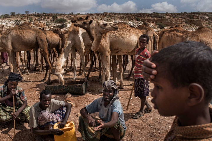 Pastoralist men and boys let their camels drink water from a nearly dried-up riverbed on Feb. 24, 2017, in Dhudo, Somalia.