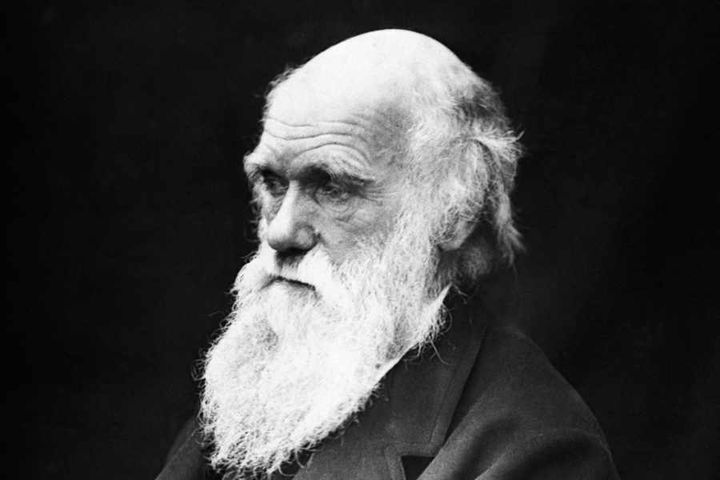 Charles Darwin, an old man with a white beard who called into question another Old Man with a White Beard.