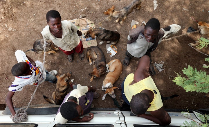 Boys wait in line with their dogs during a mass rabies vaccination day in Bunda, Tanzania, Oct. 8, 2012.