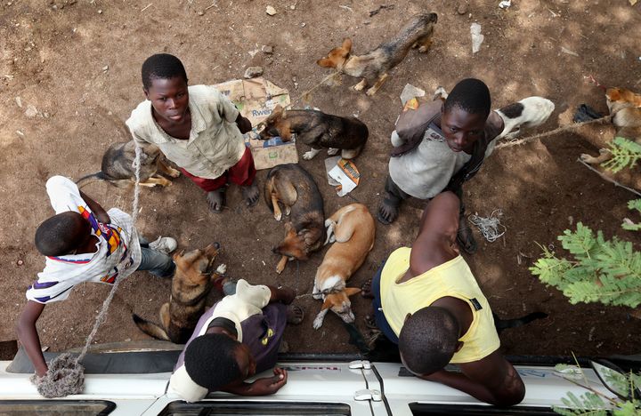 Boys wait in line with their dogs during a mass rabies vaccination day in Bunda, Tanzania, Oct. 8, 2012.