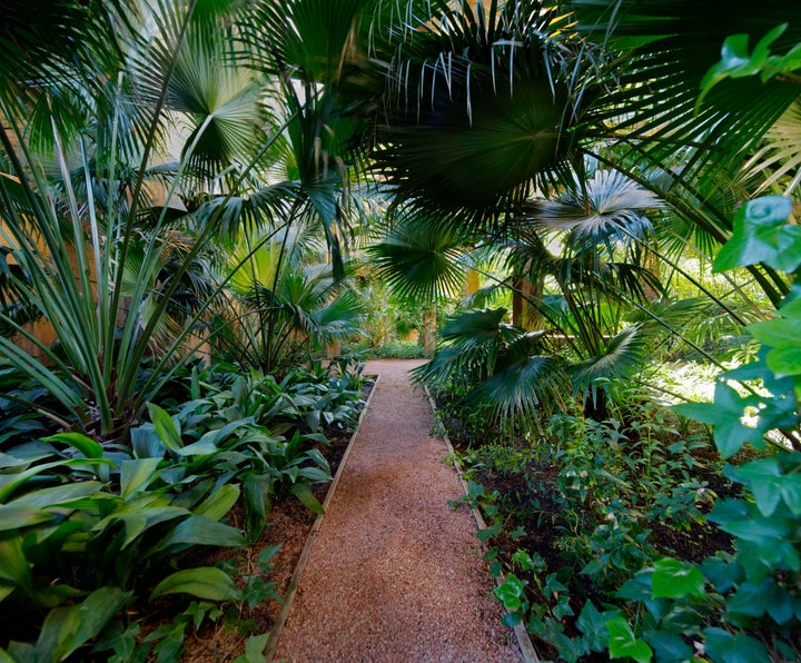 Eucalyptus, palm, olive and prune trees cover the property.