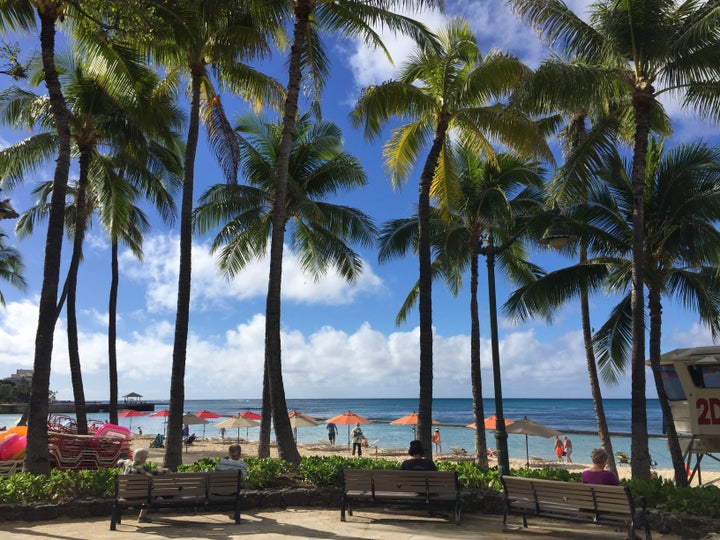 Waikiki Beach was the royal coconut grove when Mark Twain arrived.