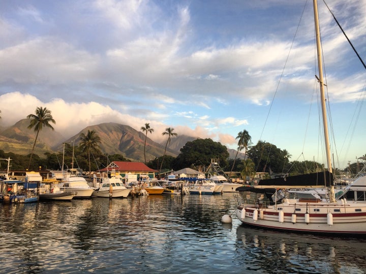 <p>The harbor in Lahaina.</p>