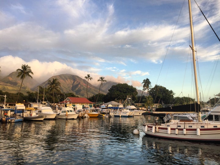 The harbor in Lahaina.