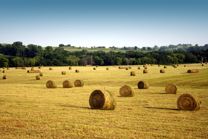 Farmers across the country are not monolithic in their political views.