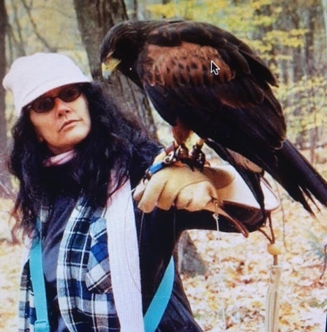 Mia & <em>Mycroft</em> (Harris Hawk) - British School of Falconry at the Equinox, Rob Waite, Director - Manchester Vermont <