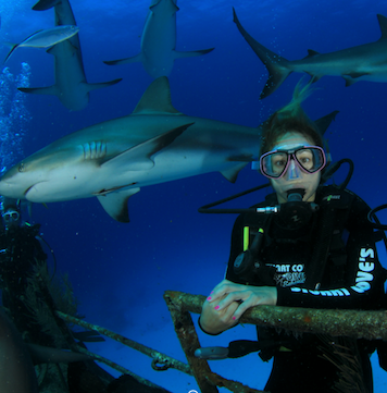 Hanging with the sharks. 