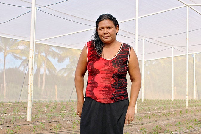  Milagros del Carmen Moreira, leader of the vegetable cooperative UDP Hortalizas Casa Mota El Progreso, another women’s cooperative that has benefitted from the economic empowerment programme , in their greenhouse funded by UN Women and IFAD. Photo: UN Women/Monika Remé 