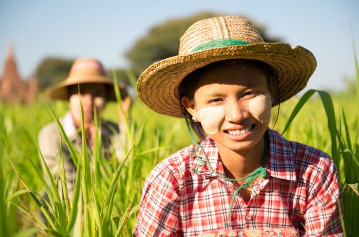 Women working the the fields in Myanmar