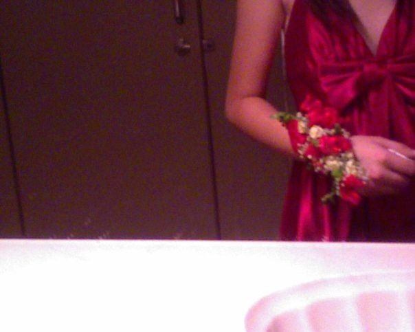 The $90 Jessica McClintock dress (on sale) that prevented me from taking the SAT. Photo from the bathroom of the boat that Cupertino High School rented for senior prom. Clearly I was feeling pretty emo.
