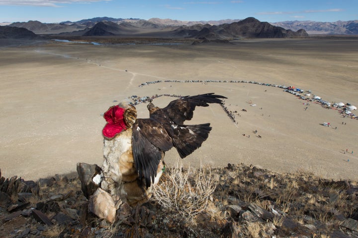 Golden Eagle Festival, Ölgii, October 2014