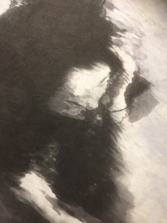 <p> Youngkil Kang, <em>LIMBO</em> (2017), pigment-print on rice paper, (facial detail) </p>