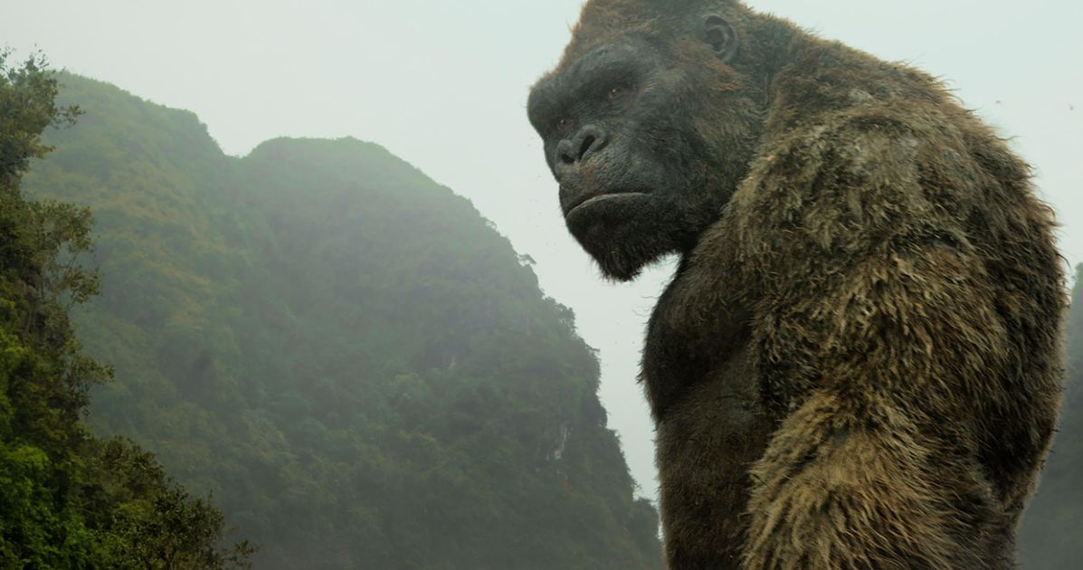 The Monkey and the Metaphor: What Every King Kong Movie Is Really