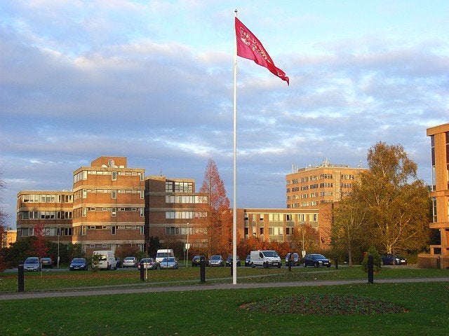 Members of the Agricultural Society at the University of Reading have been forced to apologise over their 'pikey' themed night out 