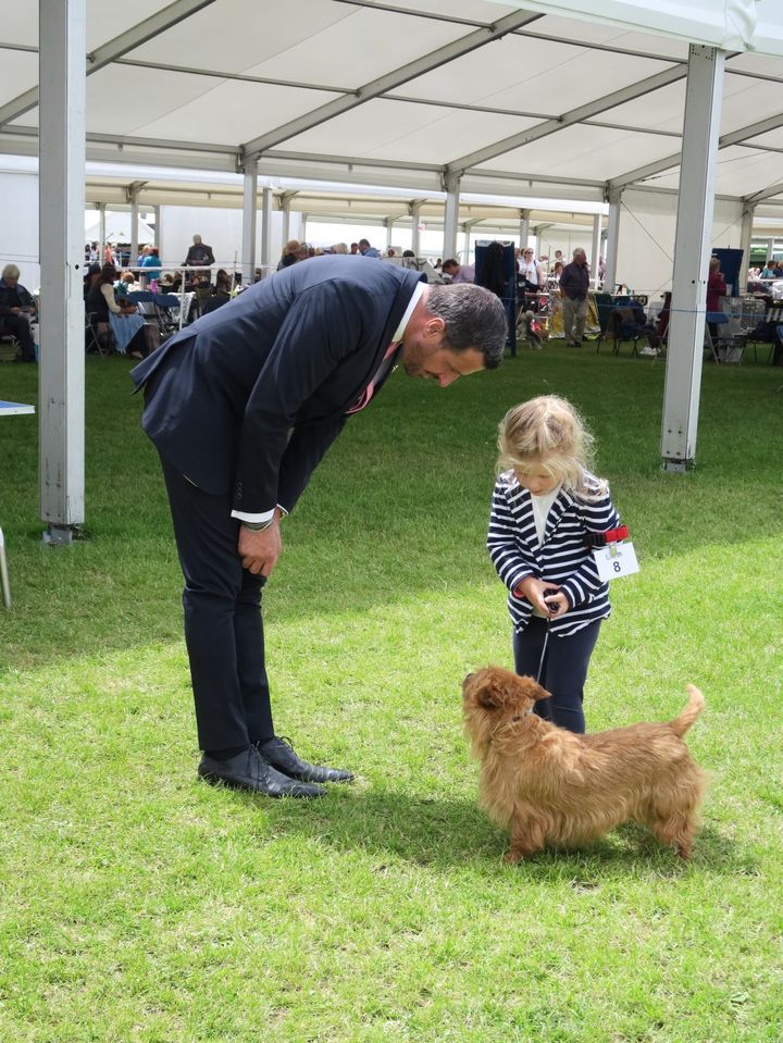 Jessica Allen, four, with Australian Terrier Annie at Crufts.
