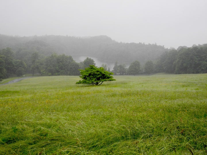 <p><em>The grounds at Olana.</em></p>