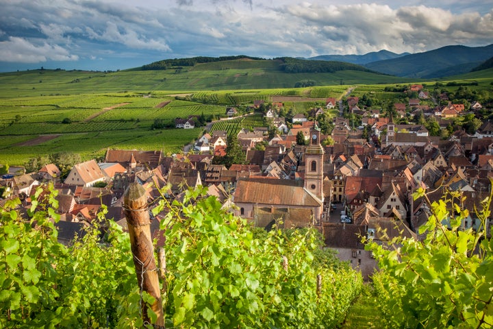 Riquewihr, a vineyard town, is known for its well-preserved medieval character. All of Disney's Rhine River cruises offer the option to disembark there. 