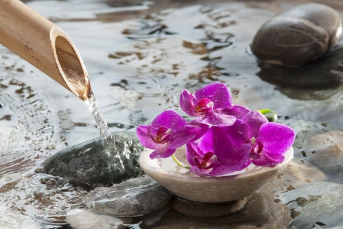 Energizing Your Spa Space with Feng Shui