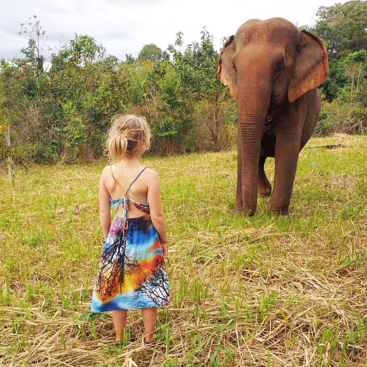 <p>Meeting Sambo at the Elephant Valley Project, Cambodia</p>