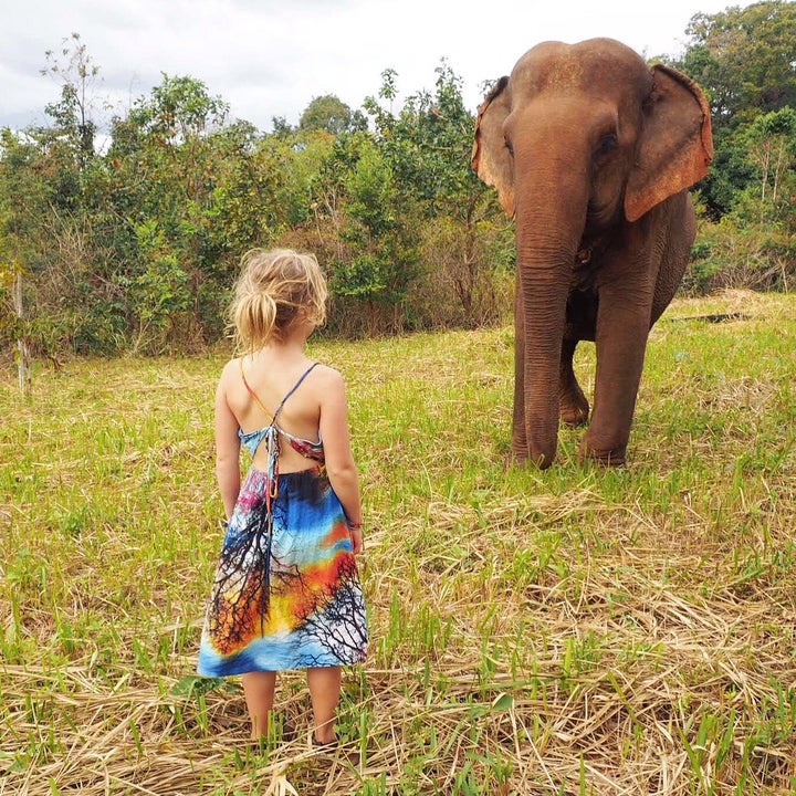 Meeting Sambo at the Elephant Valley Project, Cambodia