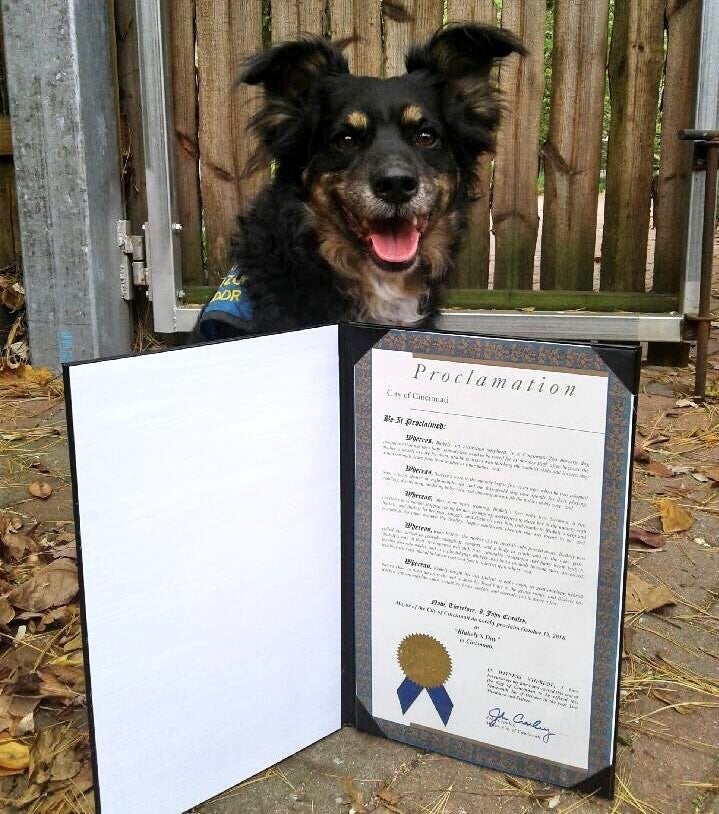 The Mayor of Cincinnati declared October 19 Blakely’s Day in Cincinnati