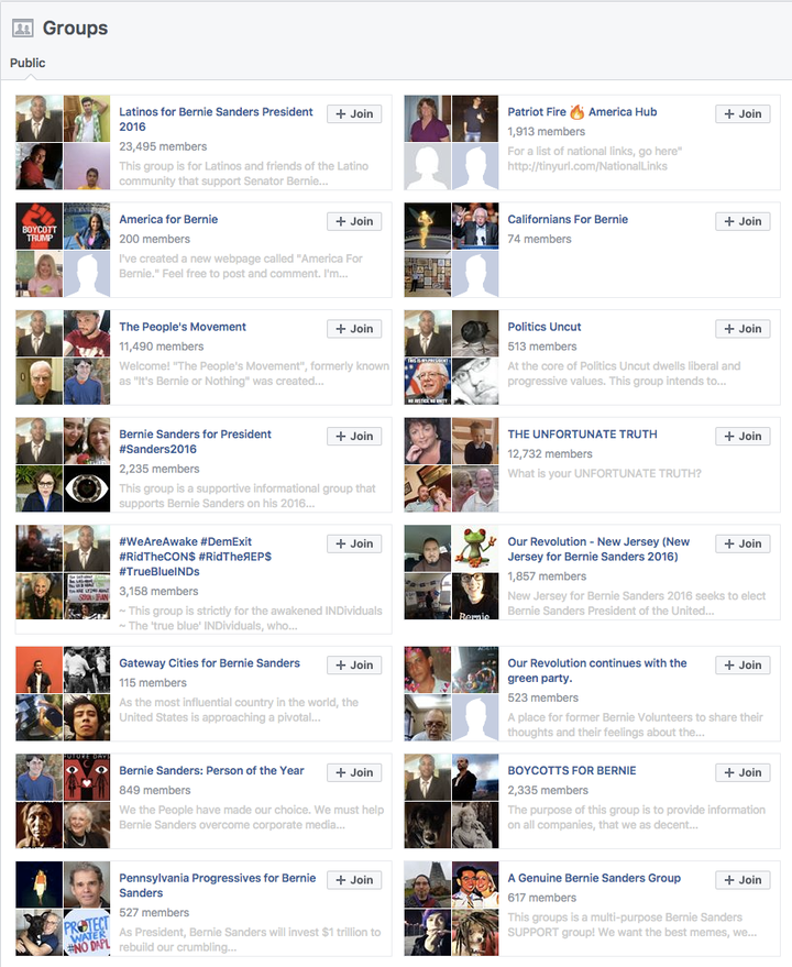 Mitov's long list of pro-Sanders Facebook pages shows no other outside interests.