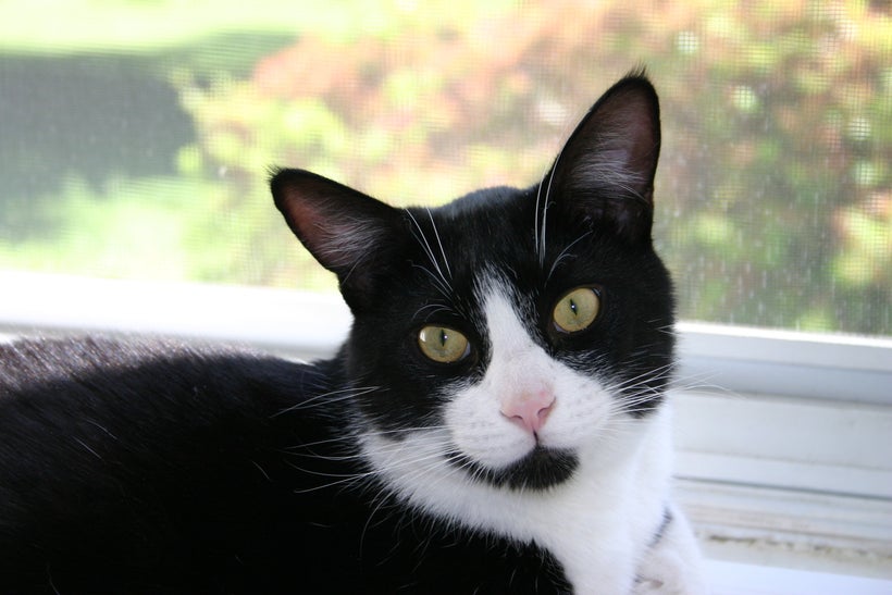 OREO