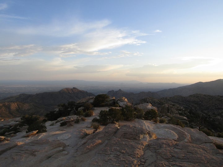 <p>Sabino Canyon, Arizona</p>