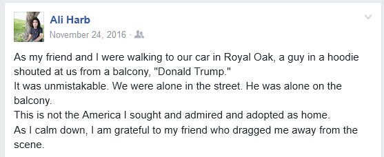 Ali Harb, a reporter for the Middle East Eye, describes an incident that occurred in Royal Oak, Mich on his Facebook page.