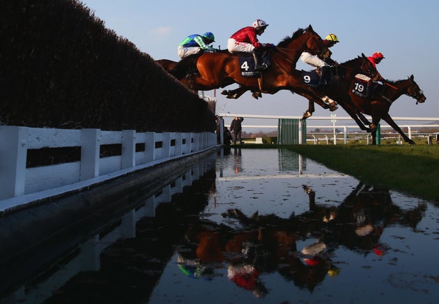 'Staggering' Death Toll Of British Racehorses Revealed Ahead Of ...