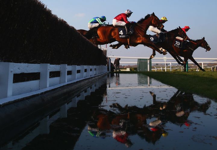 Niceonefrankie (9), being ridden by Charlie Deutsch on March 17, 2016 in Cheltenham, was one of the seven horses to die at last year's festival.