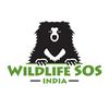 Wildlife SOS